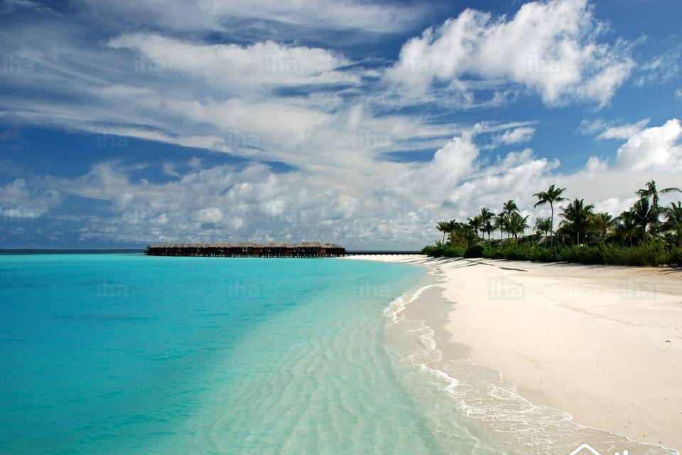 Maldive