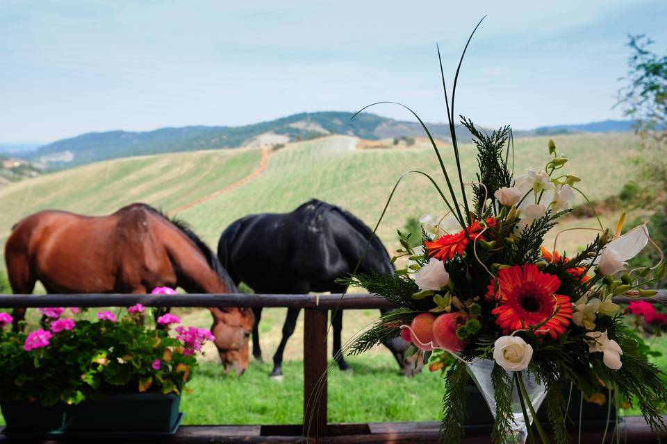 Agriturismo Cà Quercia Buca