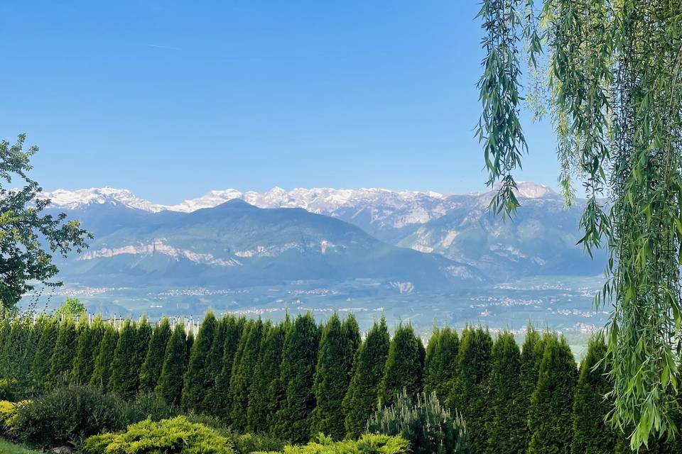 Vista