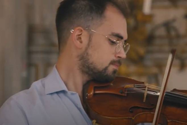 Violino