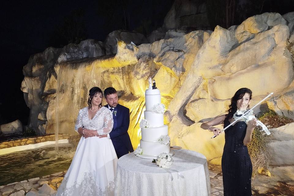 Taglio Torta  Violino di Crist