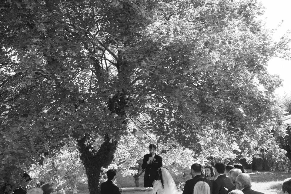 Celebrazione