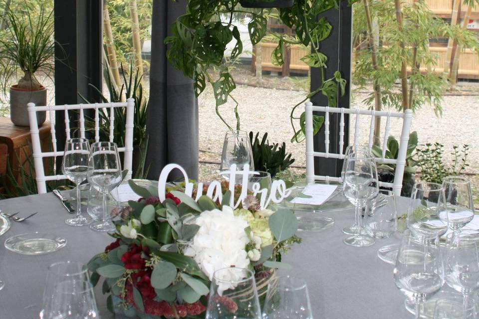 PrimoAmore Events