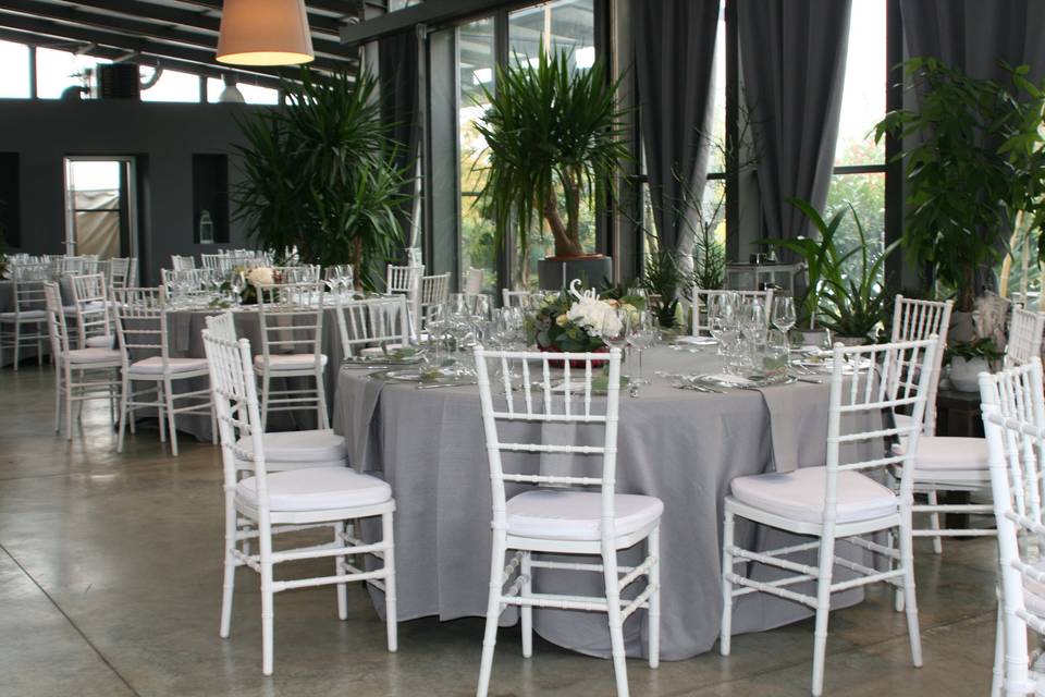 PrimoAmore Events