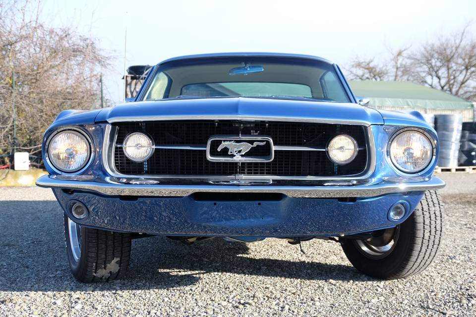 Noleggio Ford Mustang 1968
