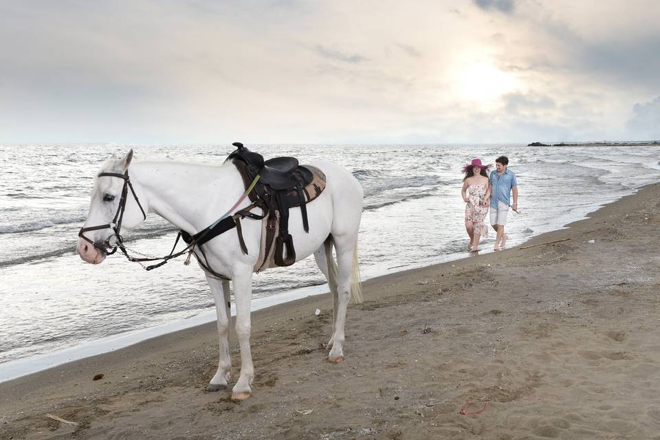 Foto anteprima matrimonio