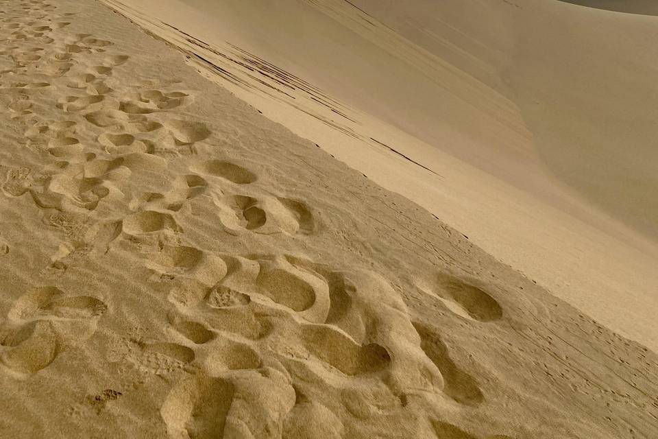 Namibia - Costa di Swakopmund