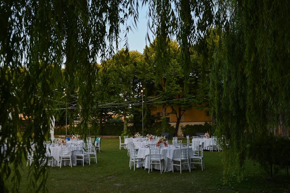 Wedding
