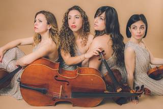 Venus Quartett