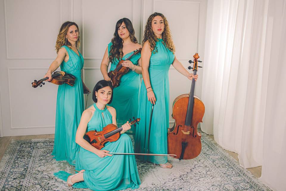 Venus Quartett