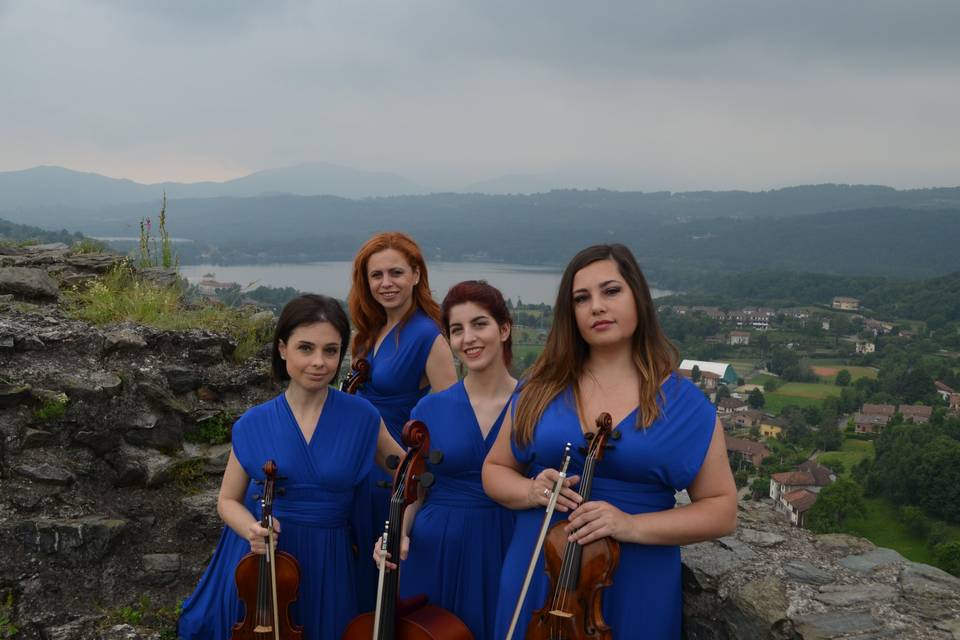 Venus Quartett