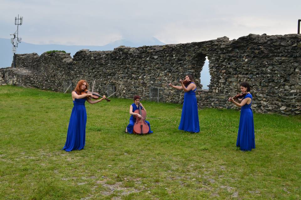 Venus Quartett