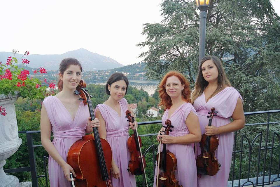 Venus Quartett