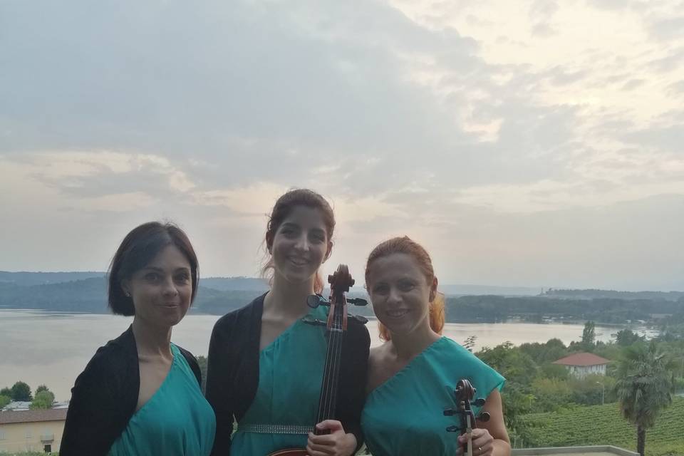 Venus Quartett