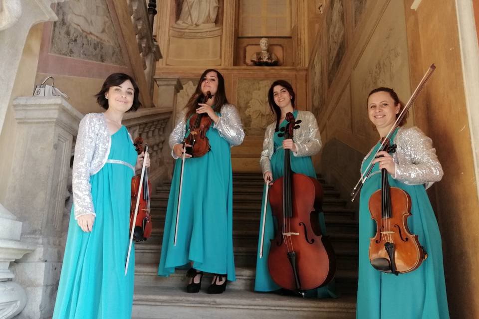 Venus Quartett