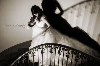 Foto Mesini - Atelier della Fotografia