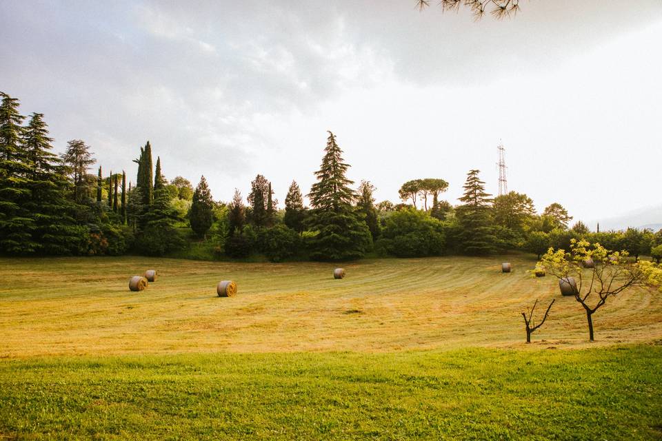 Raccolta del fieno