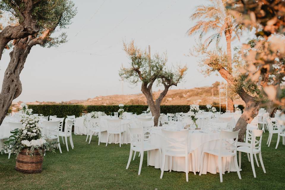 Matrimonio nell'uliveto