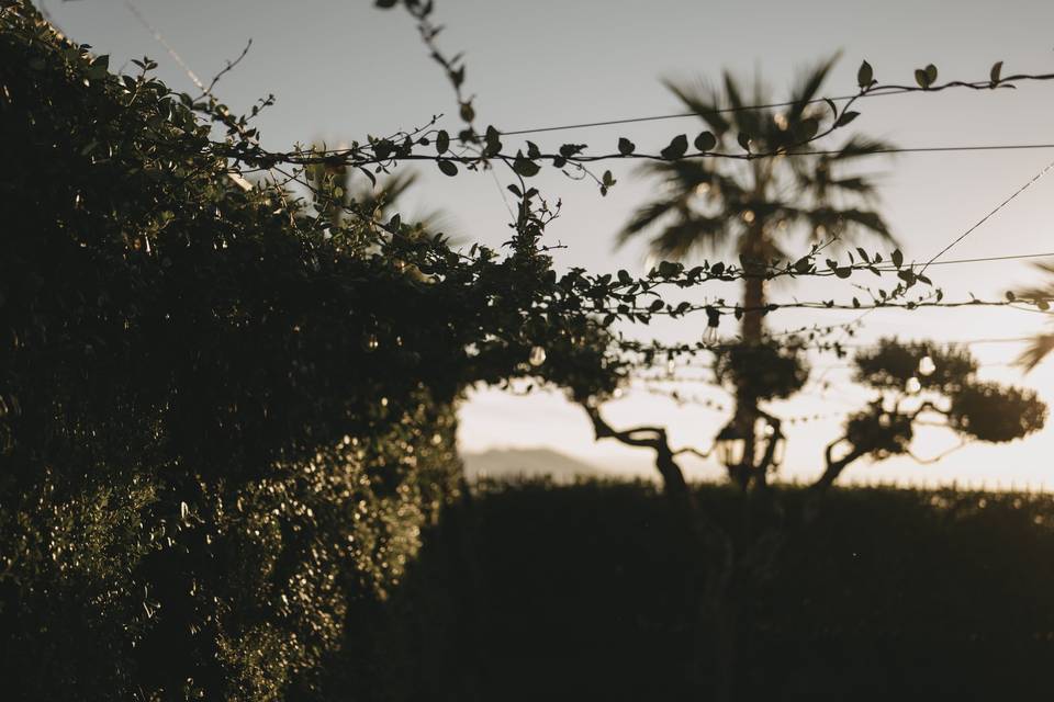 Il Giardino d'inverno