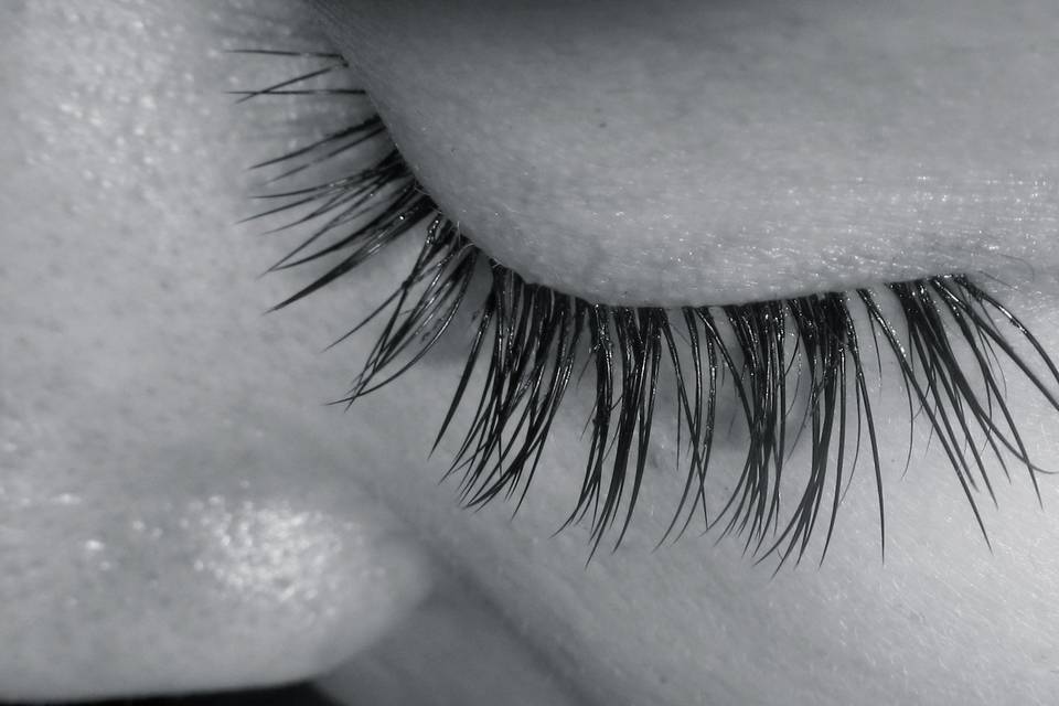 2HD lashes