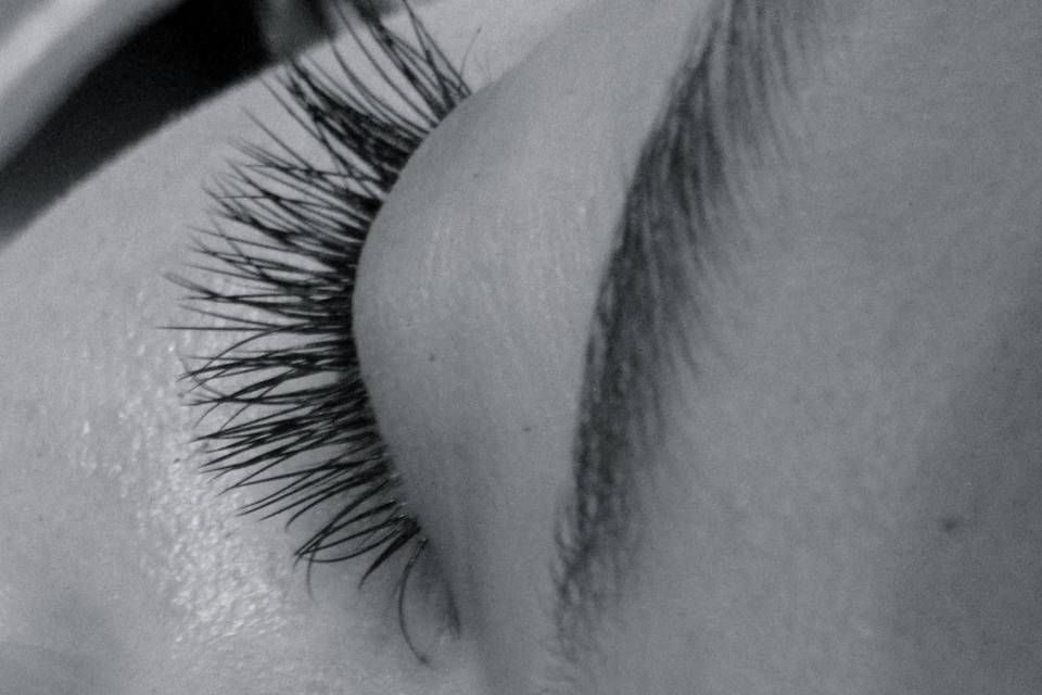 2HD lashes