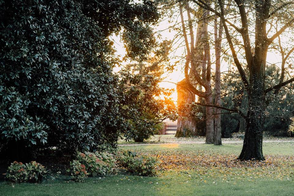 Il parco secolare