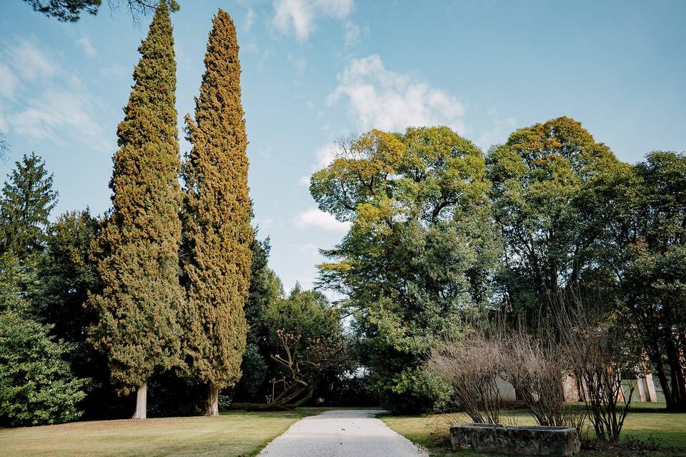 Il parco secolare