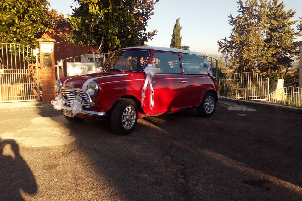 Luca e la Cooper Rossa