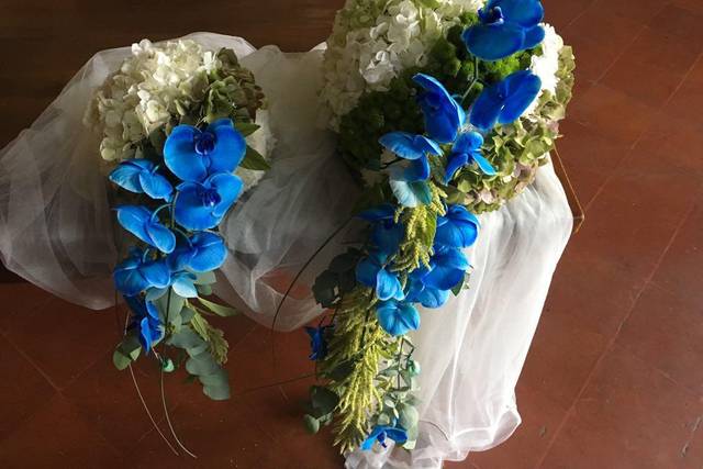Sfere di orchidee