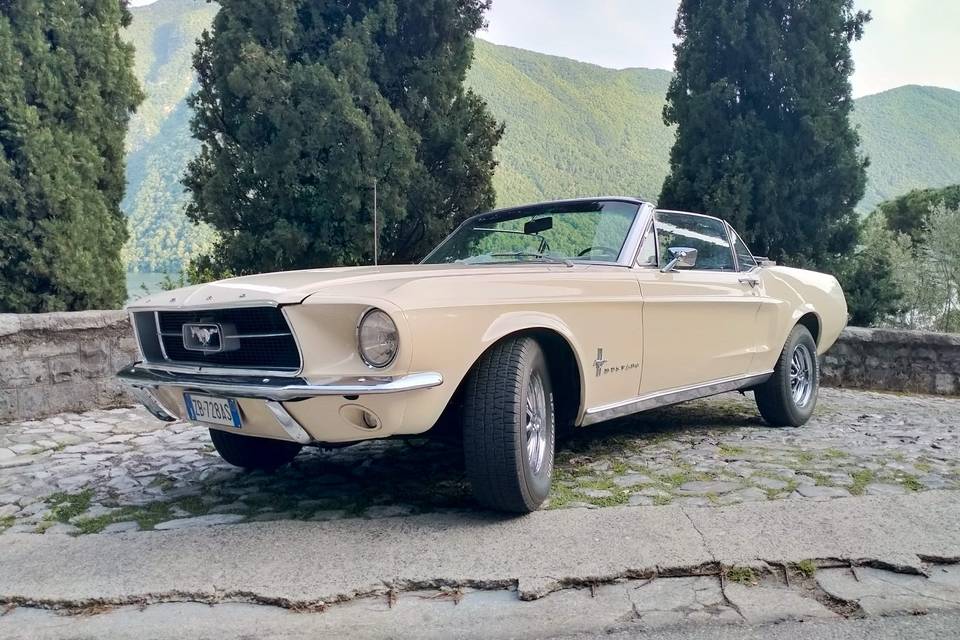 Mustang