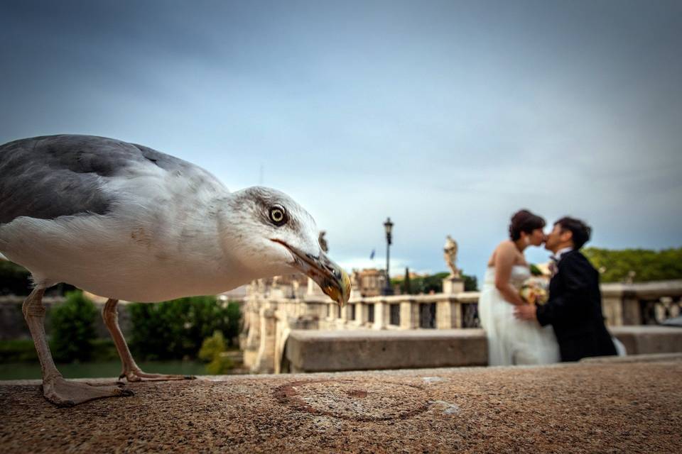 Curiosità