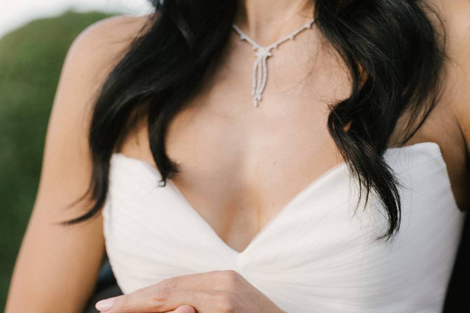Rings and hands detail