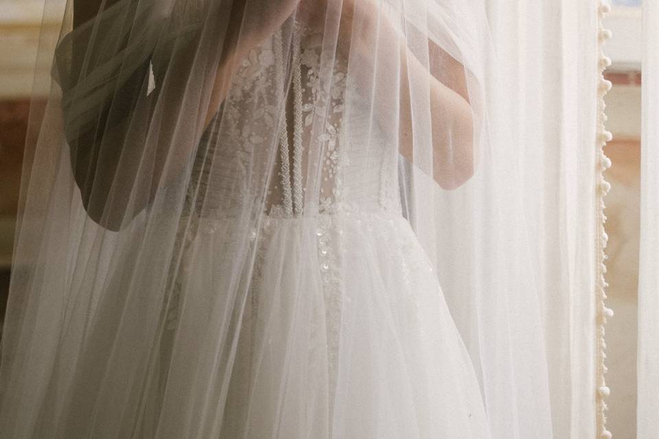 Bride under the veil