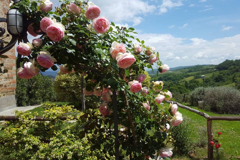 Agriturismo Poggianto