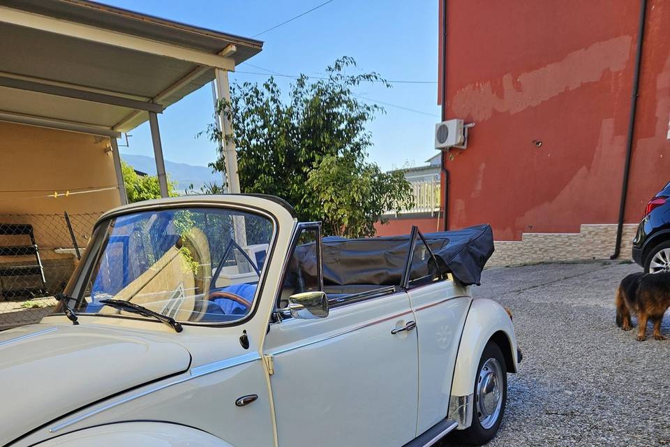 Maggiolone cabrio