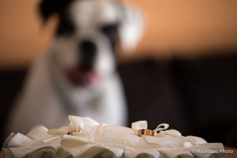 Fotografo-Matrimonio-Milano