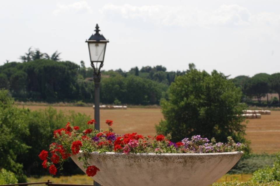 Il giardino