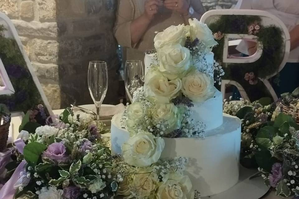 Bianco e viola