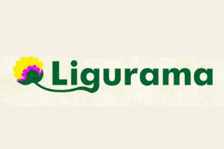 Ligurama Logo
