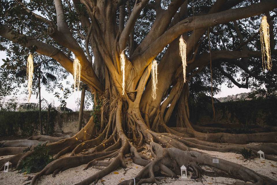 Giardino storico