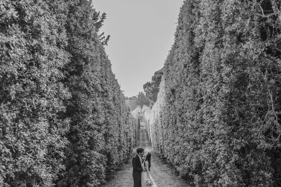 Viale