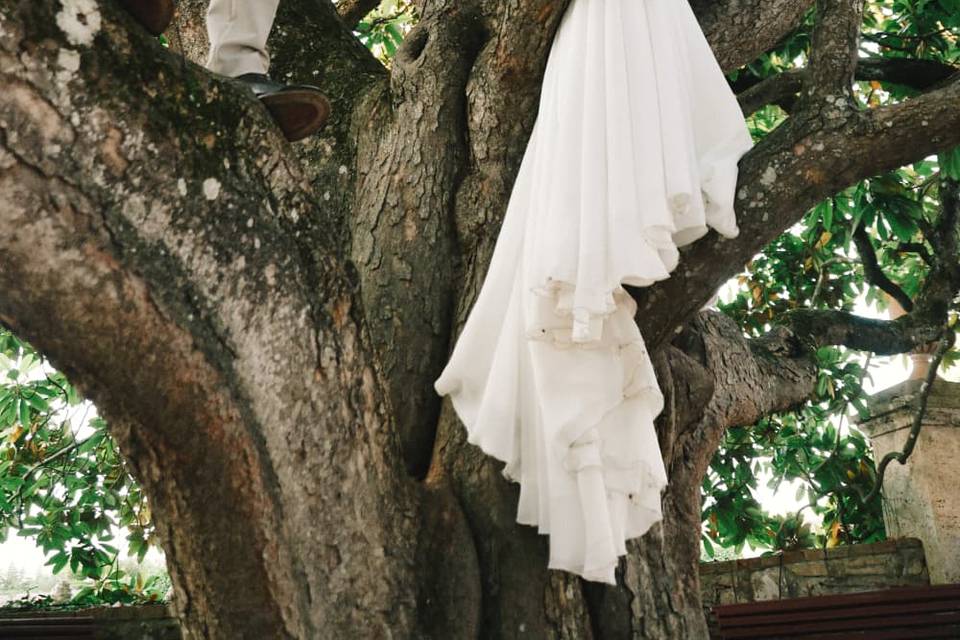 Magnolia
