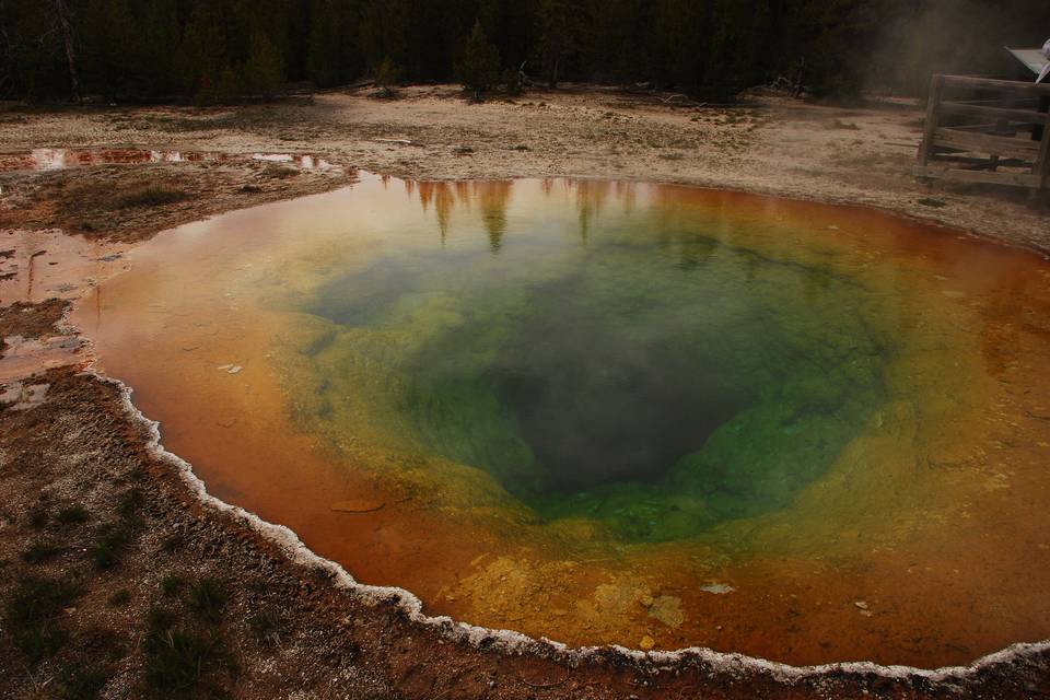 Yellowstone NP - USA