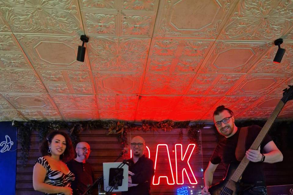 Vibe Libe Band
