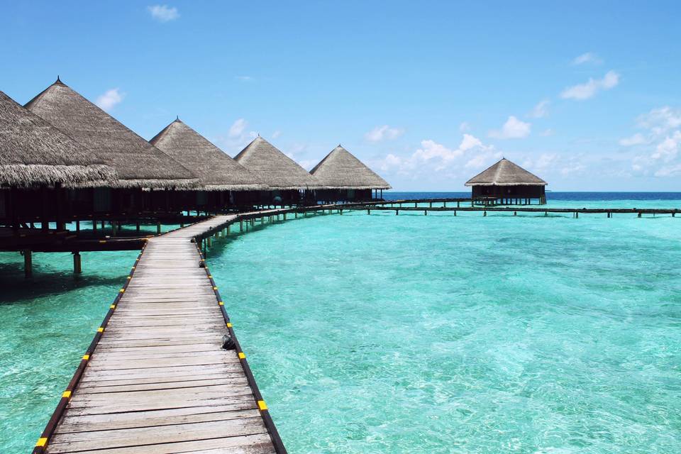 Maldive