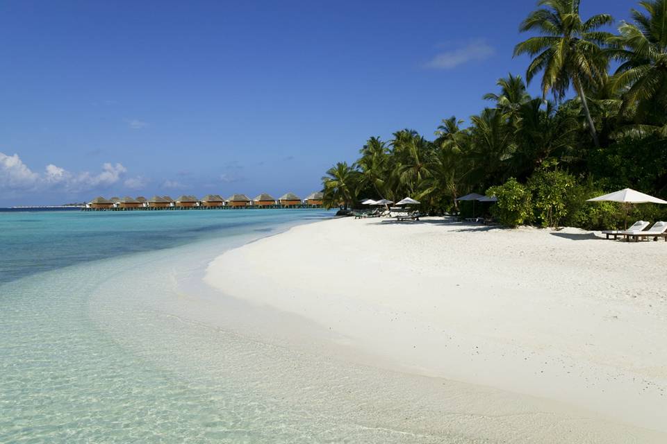 Maldive