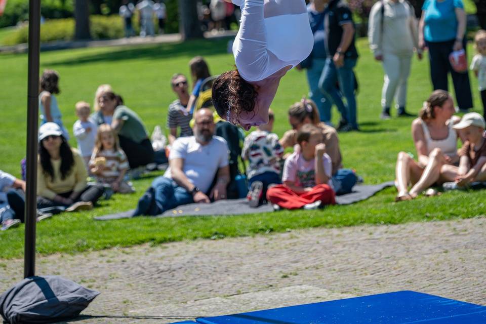 Trapezio