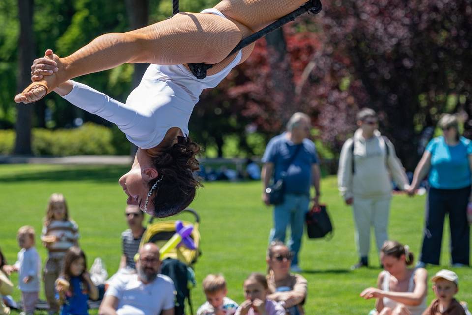 Trapezio
