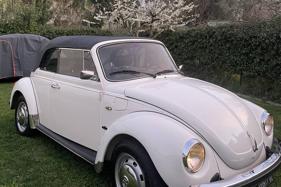 Maggiolino vintage c