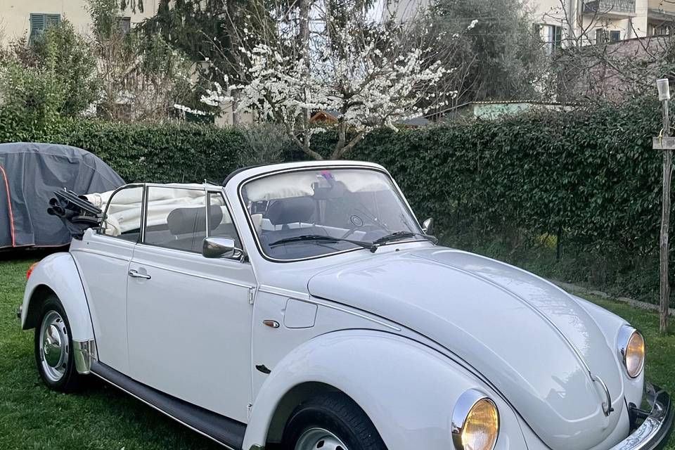 Maggiolino vintage b